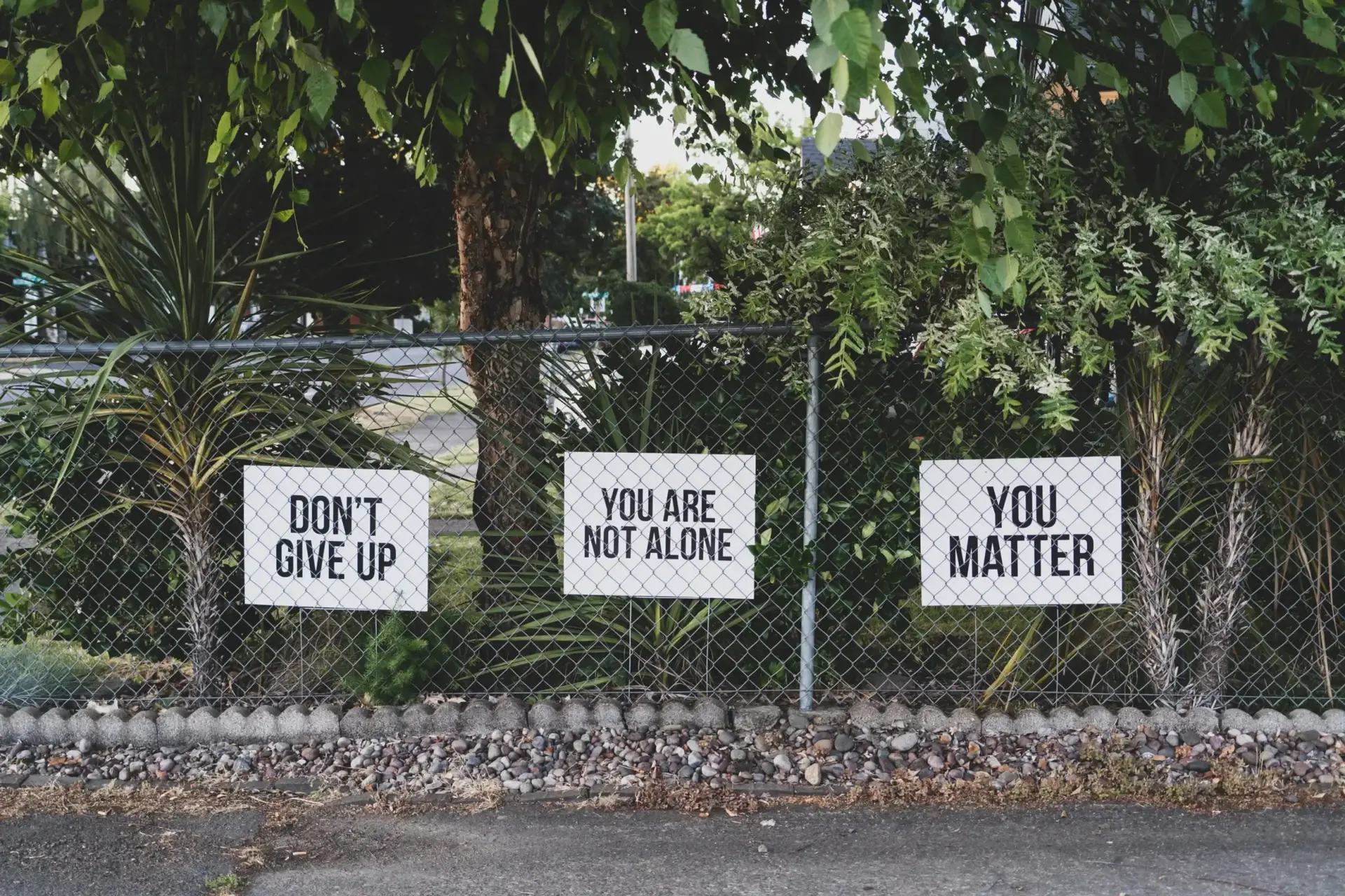 Three motivational signs on a fence reading "DON'T GIVE UP," "YOU ARE NOT ALONE," and "YOU MATTER," surrounded by greenery, promoting mental health awareness and support.